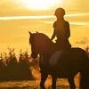 equi_yentl_