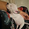 .anthonyjcr