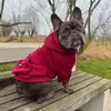 milo.the.frenchiebull