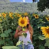 sofymarzullo