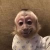 miranduhuhuh