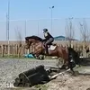equestrian573
