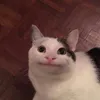 asawaaa