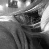 derinahdts