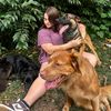 danielles3dogs