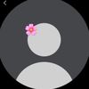 lynnbecks_
