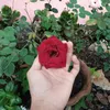 ejtrisha19