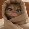 hijer.inhere