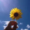 _.flower._.power._