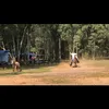 augusto0965