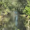 old_bayou_hix