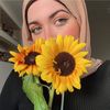 Ranim