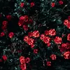 usernameasd7