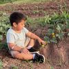 webbfarmsnm