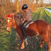 xo.nienke.xo