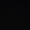 sirkkissun