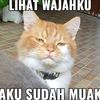 bacot_anjibggg