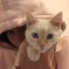 lucielbrtn