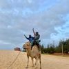 la_petite_marocaine_sn