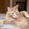 bigflipnmar