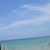 rymdz31