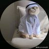 samy_ghmr