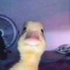 heyitzzbeeagain