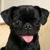 matilda_5678