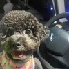 babyminsayhiiii