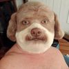 kombat_karl_