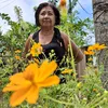 selmadainez