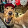 notsimpmutt