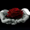 azra3489035