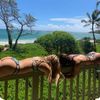 lily_campbell00