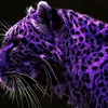 sun_niklaskillerzockertv