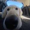 boopdooppoop01