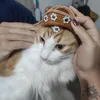 lauanaamoriim