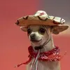 tommygalvan
