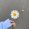 antonia.mzr