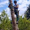 just_a_tree_guy