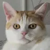 laboudeusedu95