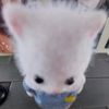 babymldy_