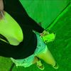 _yocelinnee_