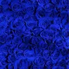 darkblue771