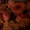 floresstephanyy