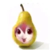 johhsicc