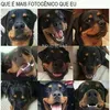 izabelaarajo2