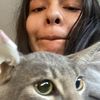 rosalasecuestragatos