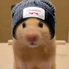 kwonfuzedd