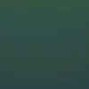 shal._oma
